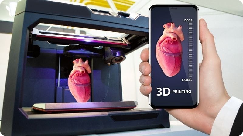 In 3D trái tim phục vụ cho y tế