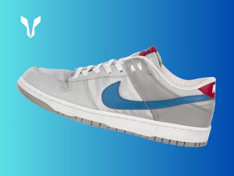 Nike Dunk Low Silver Surfer